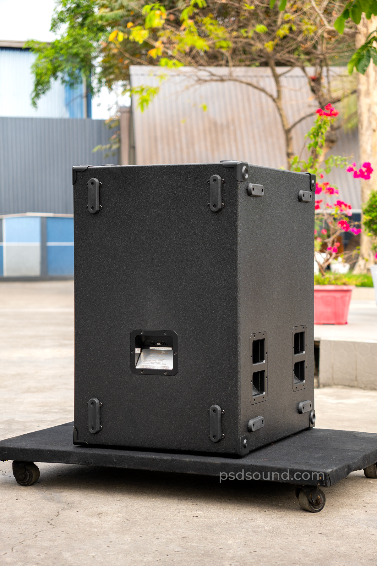 Sub đơn PSD P18LX mặt sau